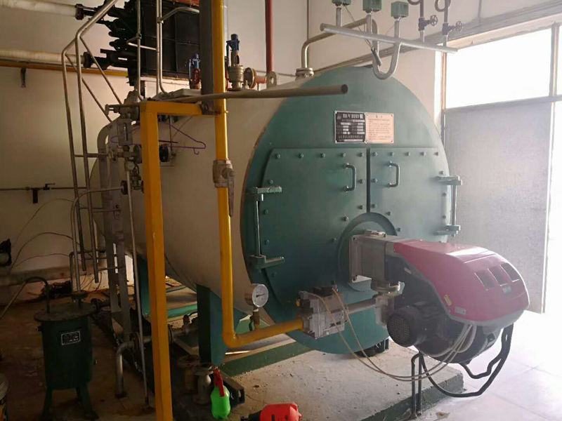 天津合治藥業(yè)4噸燃?xì)庹魵?/></div>
        <div   id=